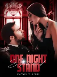 One Night Stand  Novel Cover