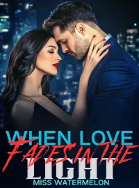 When Love Fades in the Light Novel Cover