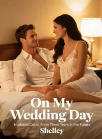 On My Wedding Day, Husband Called From Three Years in the Future Novel Cover