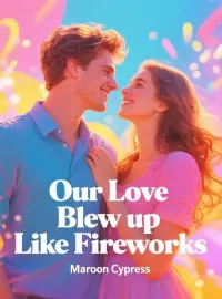 Our Love Blew up Like Fireworks Novel Cover