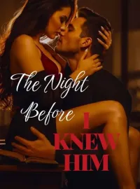 The Night Before I Knew Him Novel Cover