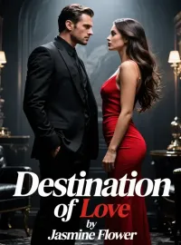Destination of Love Novel Cover