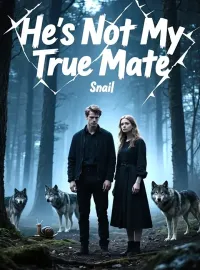 He's Not My True Mate Novel Cover