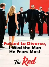 Forced to Divorce, I Wed the Man He Fears Most Novel Cover