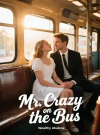 Mr. Crazy on the Bus Novel Cover