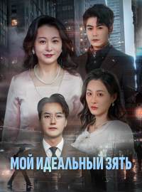 Мой идеальный зять