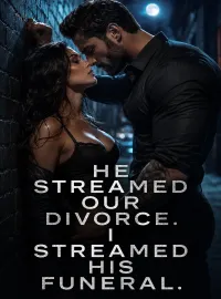 He Streamed Our Divorce, I Streamed His Funeral Novel Cover