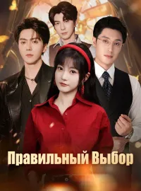 Правильный Выбор