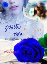 ภาพปกนิยาย ทูนหัวของพ่อ