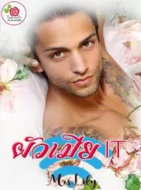 ภาพปกนิยาย ผัวเมีย IT