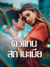 ภาพปกนิยาย ตัวแทนสถานะเมีย