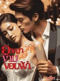 ภาพปกนิยาย อาญารัก ข้ามขอบฟ้า