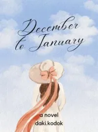 Sampul Novel December to January