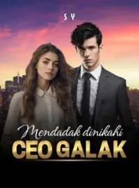 Sampul Novel Mendadak Dinikahi CEO Galak