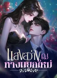 ภาพปกนิยาย แสงสว่าง ณ ทางแยกใหม่