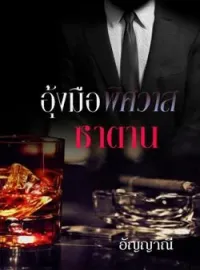 ภาพปกนิยาย อุ้งมือพิศวาสซาตาน