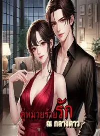 ภาพปกนิยาย คู่หมายร้ายรัก