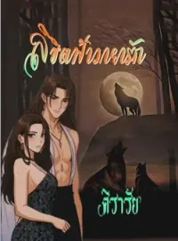 ภาพปกนิยาย ลิขิตฟ้ามายารัก