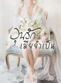 ภาพปกนิยาย วุ่นรักเมียจำเป็น