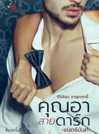 ภาพปกนิยาย คุณอาสายดาร์ก