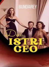 Sampul Novel Dua Istri CEO