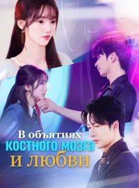 В объятиях костного мозга и любви