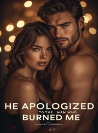 He Apologized to the Woman Who Burned Me Novel Cover