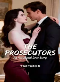 THE PROSECUTORS: An Accidental Love Story Novel Cover