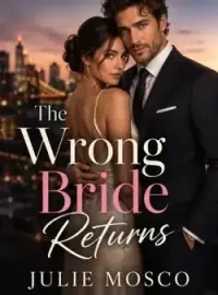The Wrong Bride Returns Novel Cover
