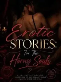 Erotic Stories For The Horny Souls  Novel Cover