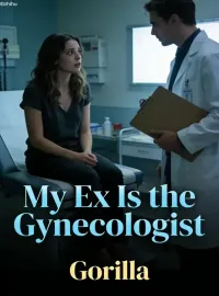 My Ex Is the Gynecologist Novel Cover
