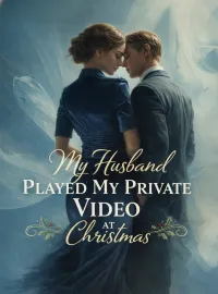 My Husband Played My Private Video at Christmas Novel Cover