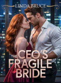The CEO'S Fragile Bride  Novel Cover