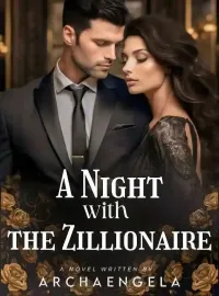 A Night with the Zillionaire Novel Cover