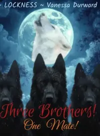 THREE BROTHERS! ONE MATE! Novel Cover