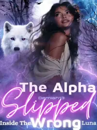 The Alpha Slipped Inside The Wrong Sister Novel Cover