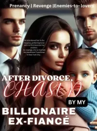 After Divorce, Chased By My Billionaire Ex-Fiancé  Novel Cover