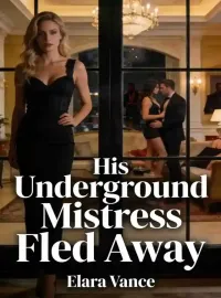 His Underground Mistress Fled Away Novel Cover