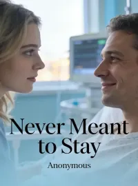 Never Meant to Stay Novel Cover
