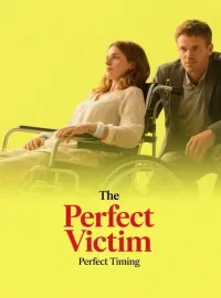 The Perfect Victim Novel Cover