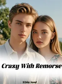 Crazy With Remorse Novel Cover