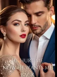 He Hurt Me, Now He Wants Me Back Novel Cover