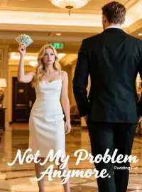 Not My Problem Anymore Novel Cover