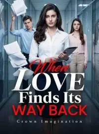 When Love Finds Its Way Back  Novel Cover