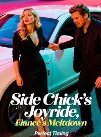 Side Chick's Joyride, Fiancé's Meltdown
 Novel Cover