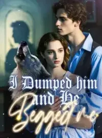 I Dumped him and He Begged me Novel Cover