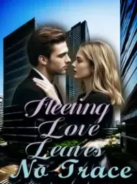 Fleeting Love Leaves No Trace Novel Cover