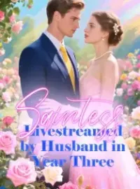 Saintess Livestreamed by Husband in Year Three Novel Cover