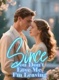 Since You Don't Love Me, I’m Leaving Novel Cover