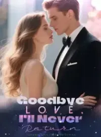 Goodbye Love, I’ll Never Return Novel Cover